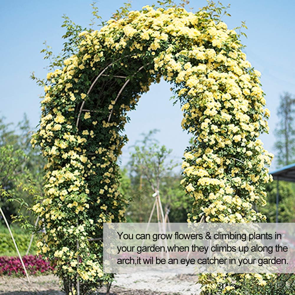 Garden Arch